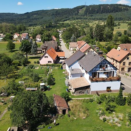 Le Nid De Cigognes Hotel Hengwiller Exterior photo