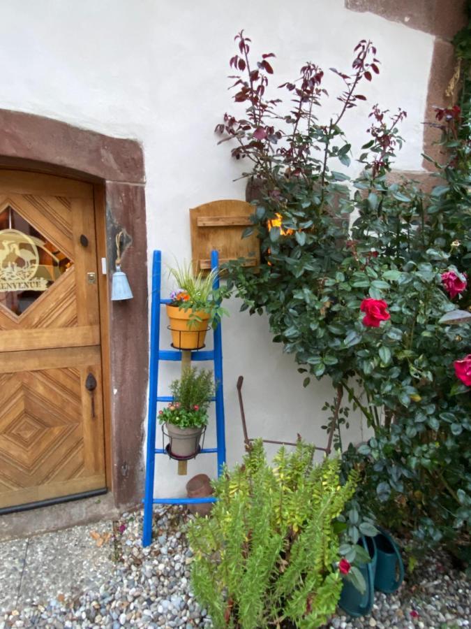 Le Nid De Cigognes Hotel Hengwiller Exterior photo