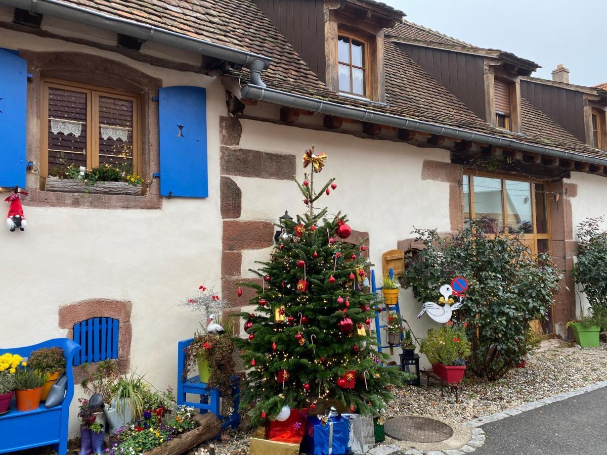 Le Nid De Cigognes Hotel Hengwiller Exterior photo