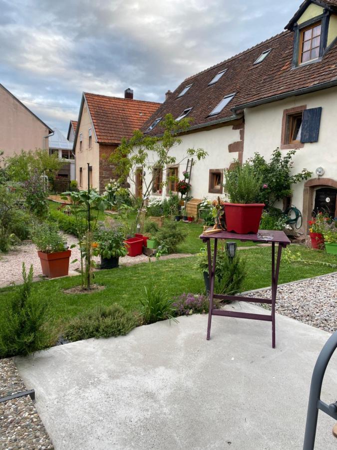 Le Nid De Cigognes Hotel Hengwiller Exterior photo