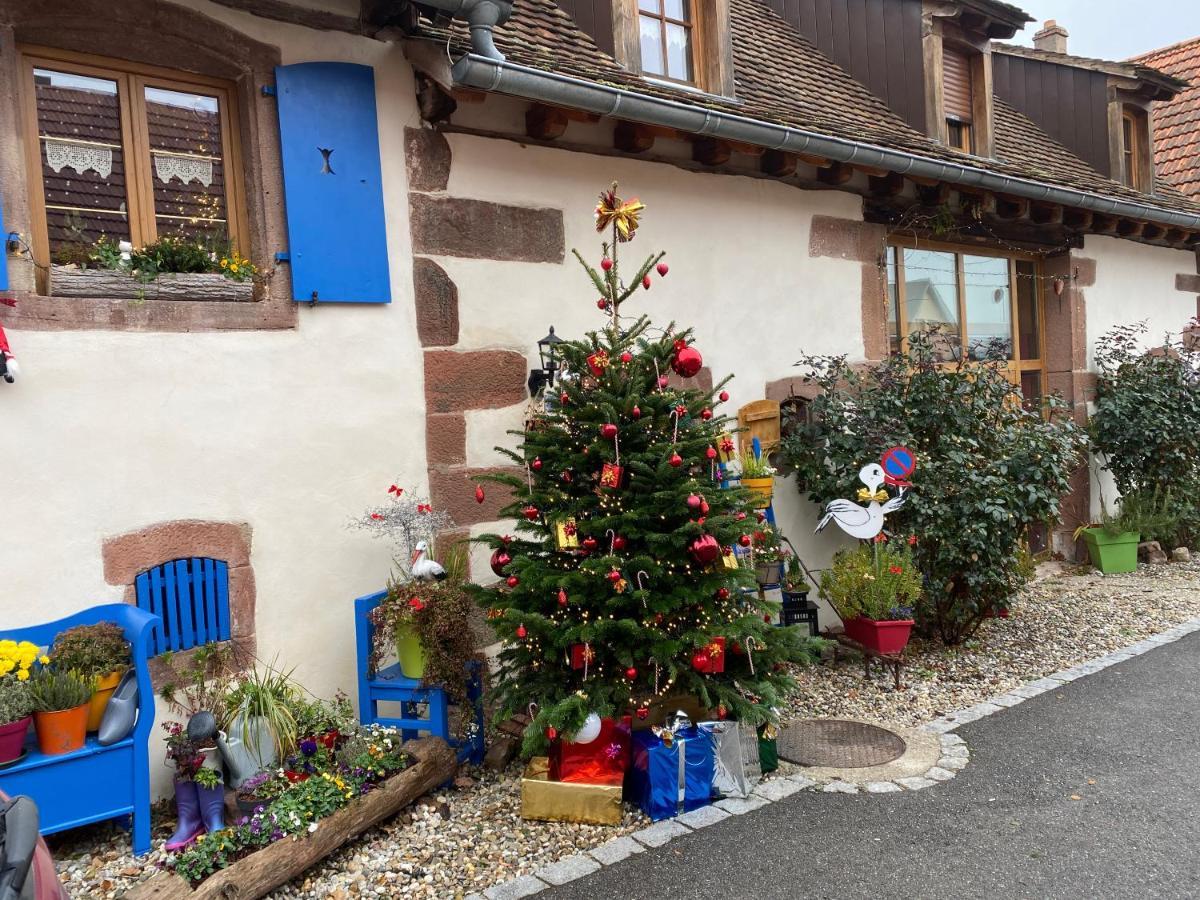 Le Nid De Cigognes Hotel Hengwiller Exterior photo